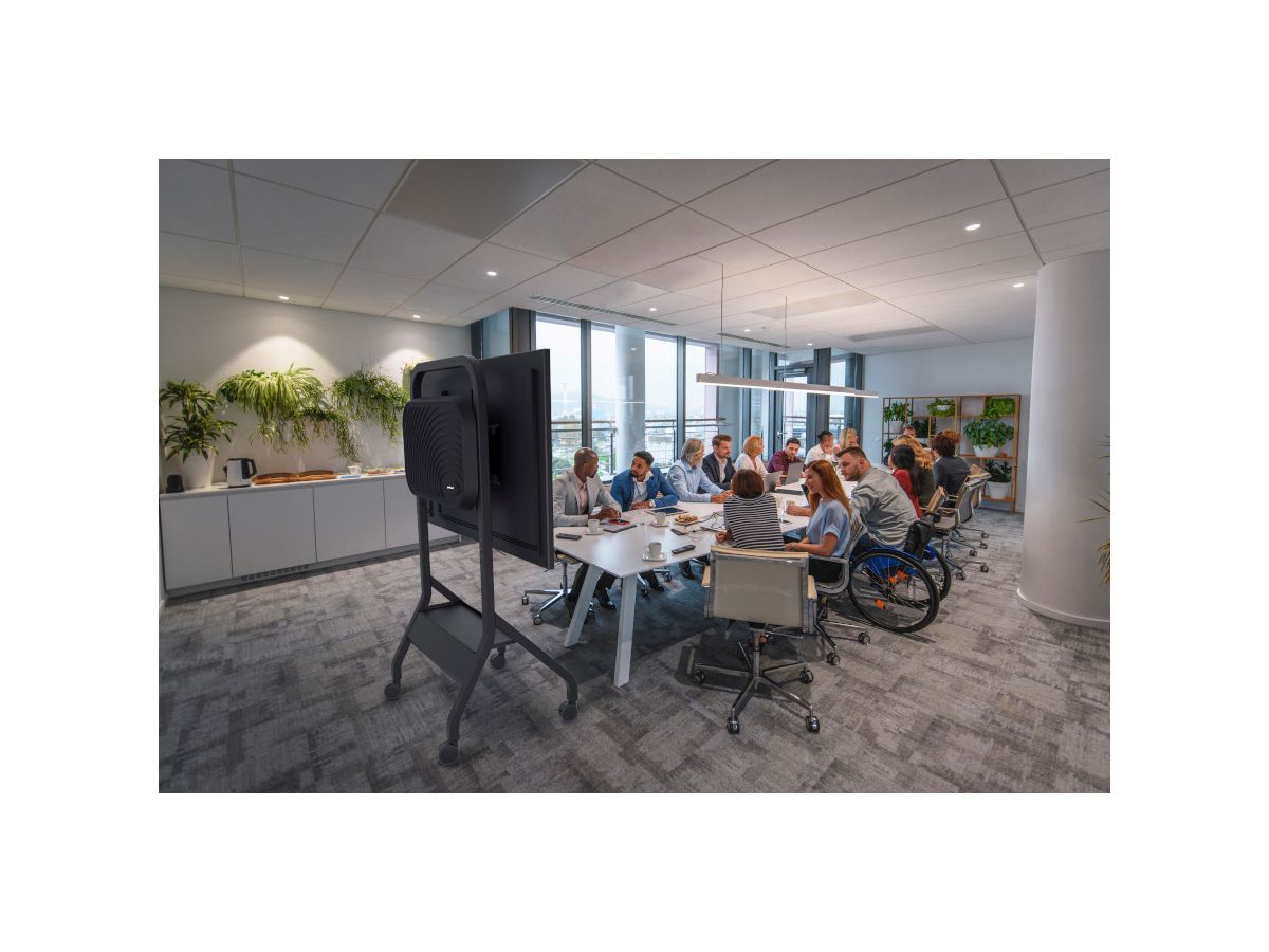 SR898-EUK - Trolley 55'' bis 110'' Displays