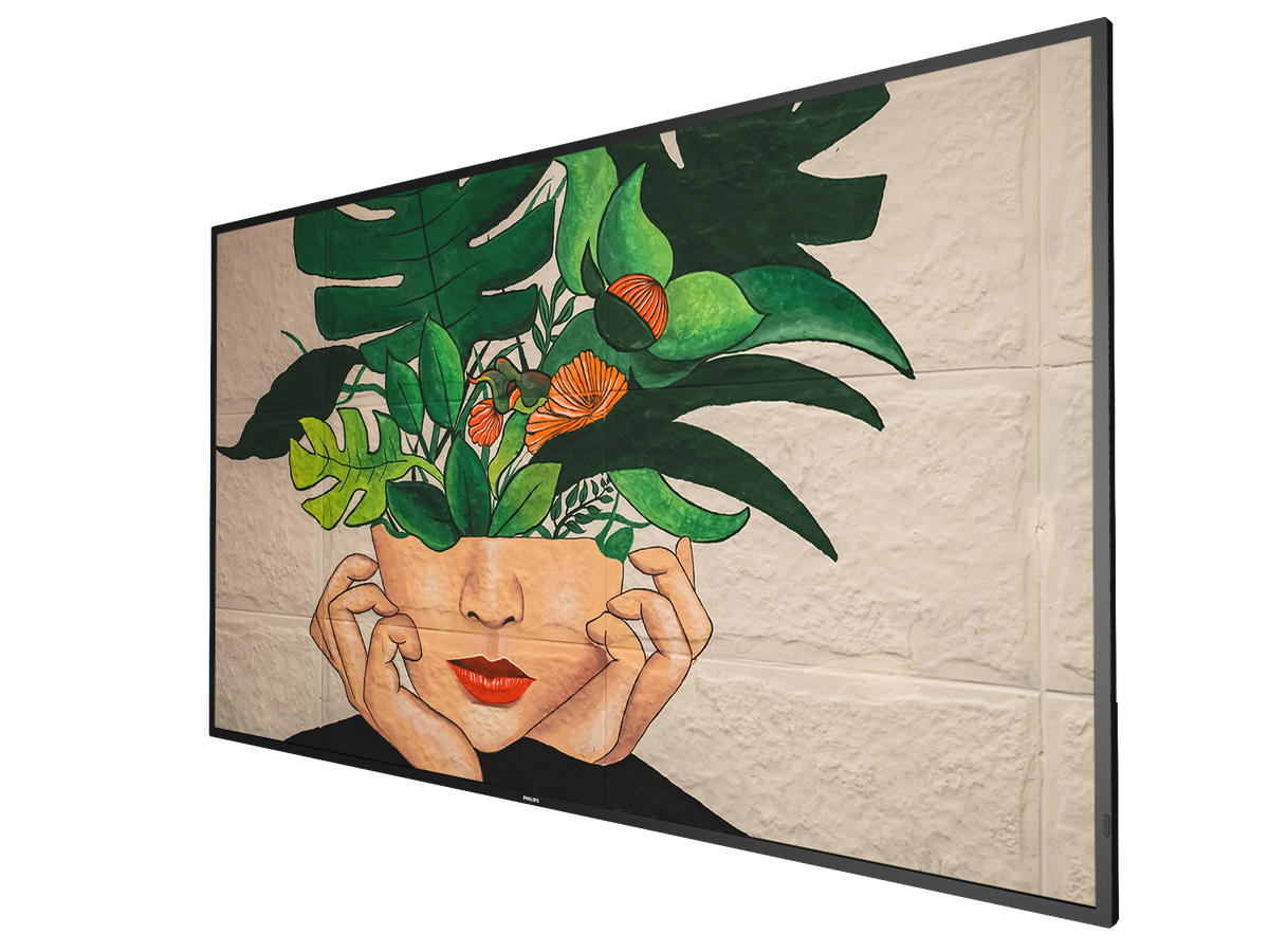 65BDL4511D/00 - 65" Display,no Soc,24/7,UHD,500cd/m2