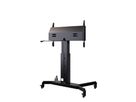 HP Lift Mobile - Lift mobile 55û100\ Zoll VESA 900x600