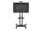 HP Twin Stand - Support mobile 32û55\ Zoll + caméra