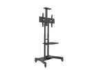 HP Twin Stand - Support mobile 32û55\ Zoll + caméra