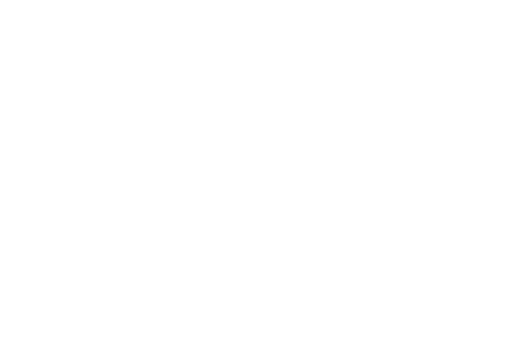 Vogel's Logo white