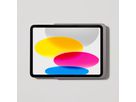 iPad Dame Wall Home 2 Titanium - 'Passend für iPad 10.9'' 10th Gen. '