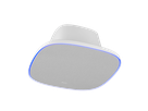 FONE700 - Haut-parleur de plafond & microphone