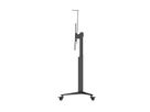 BrackIT Lift 55-86 Zoll - Lift mobile 55û86\ Zoll + bois