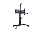 HP Lift Mobile - Lift mobile 55û100\ Zoll VESA 900x600