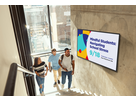 CDE5531-1C - Wireless Display, 55" 4K