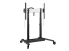 RISE 4208 - Trolley mit motoris. Displaylift, 80mm/s