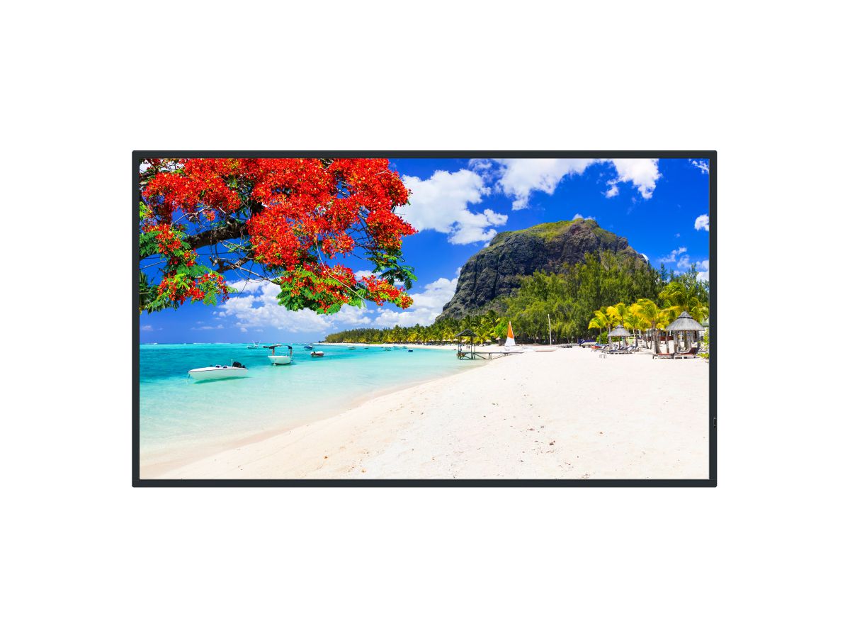 TH-75SQ2HW - 'Professional Display, 75'' 4K'