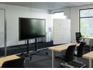 RISE 4208 - Trolley mit motoris. Displaylift, 80mm/s