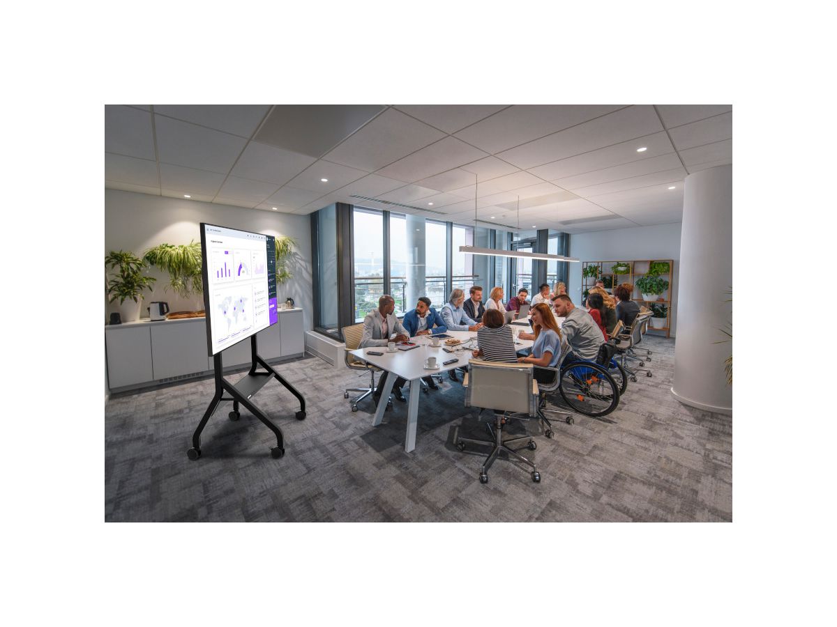 SR898-EUK - Trolley 55'' bis 110'' Displays