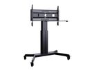 HP Lift Mobile - Lift mobile 55û100\ Zoll VESA 900x600