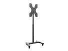 Braclabs-Stand Mobile - Support mobile 40û55 Zoll VESA max